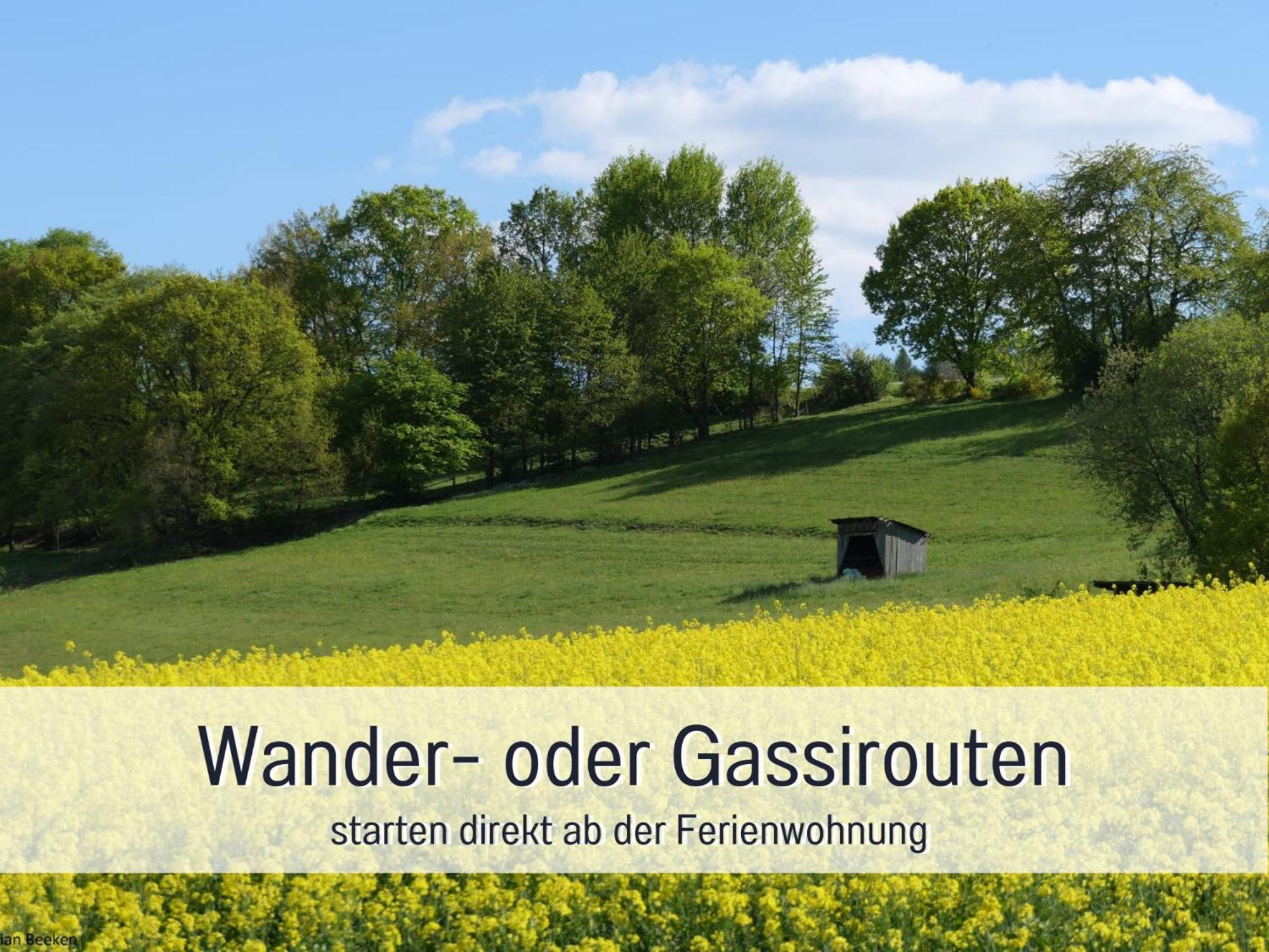 Am Feldrain - Urlaub Mit Hund Im Weserbergland Munden  Bagian luar foto